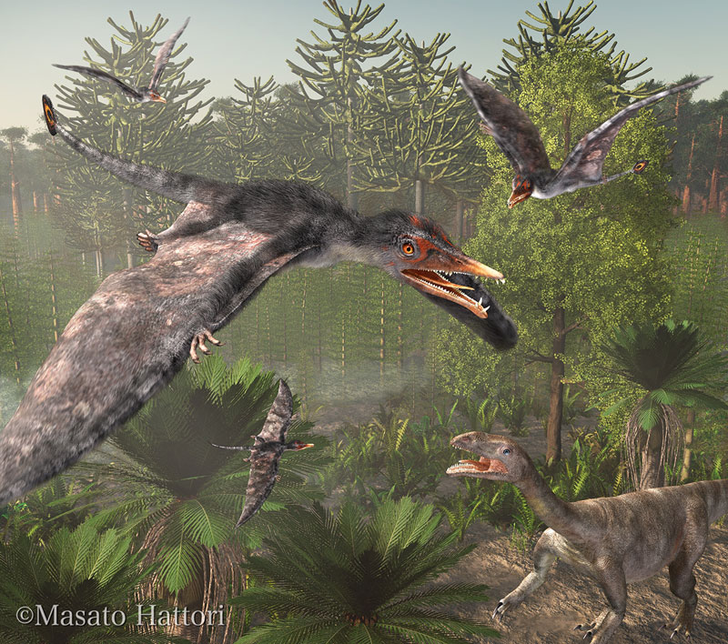 Eudimorphodon