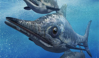 Ichthyosaurus