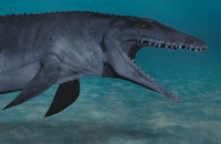 mosasaur