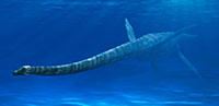 plesiosaur