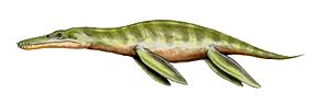 pliosaur