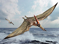 pteranodon